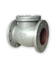 Check Valve 1