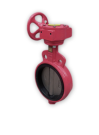 Butterfly Valve 2